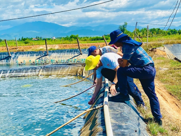Trường Đại học Nha Trang đồng hành tư vấn kỹ thuật, chuyên môn cho doanh nghiệp